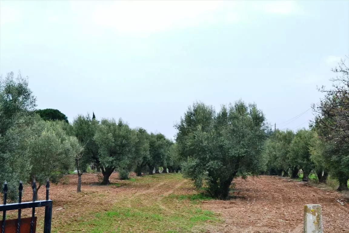 Land In Nea Propontida, Greece
