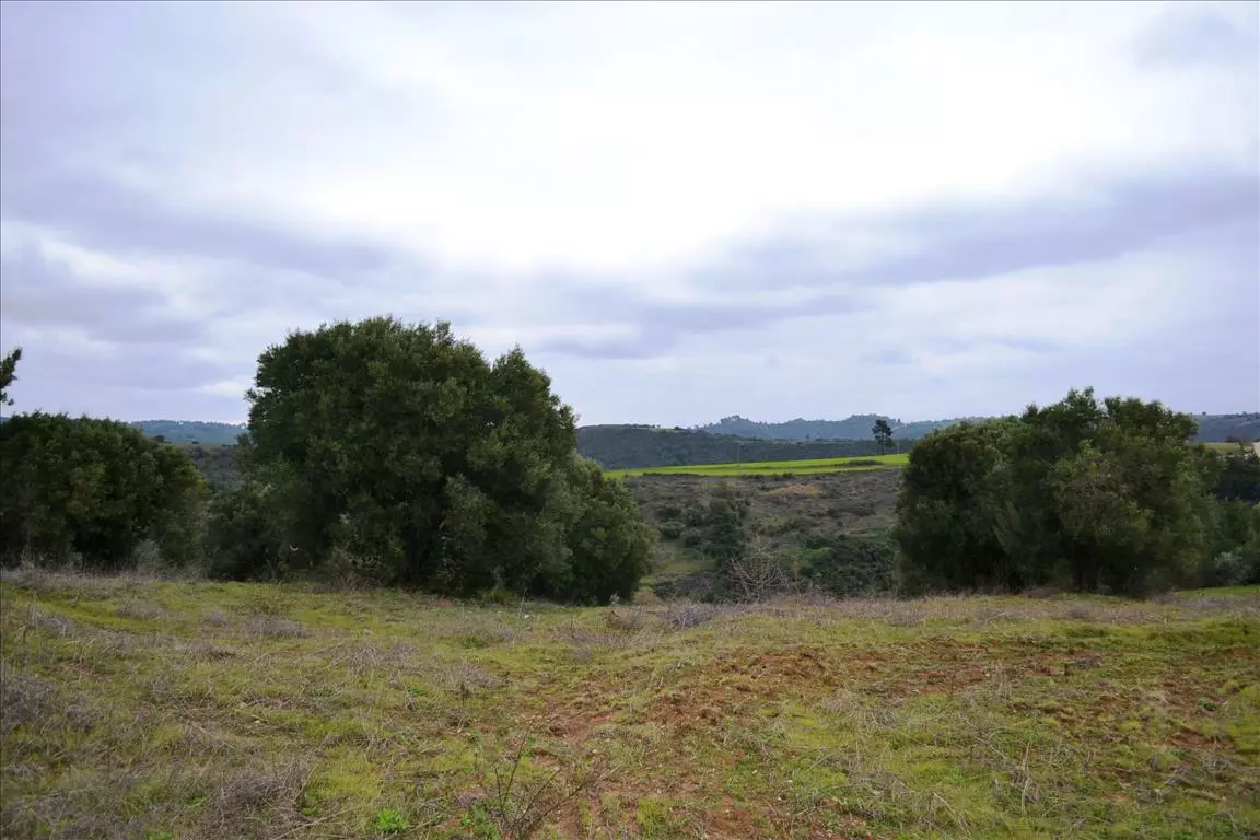 For Sale Land 9500 M² In Kassandra, Chalkidiki