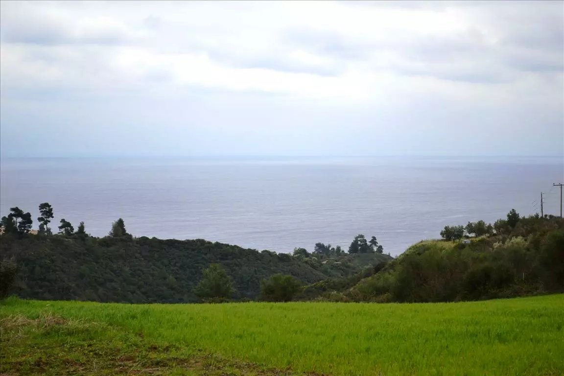 For Sale Land 9500 M² In Kassandra, Chalkidiki