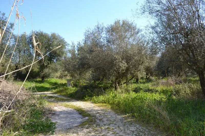 For Sale Land 24000 M² In Corfu