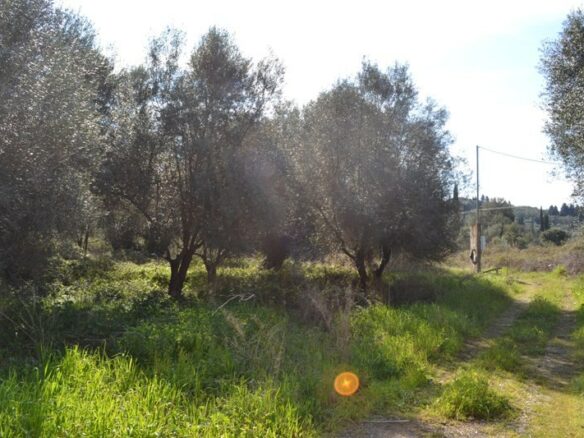 Land In Corfu, Greece