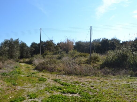 Land In Corfu, Greece