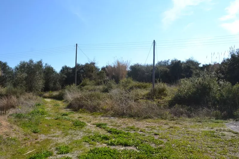 For Sale Land 24000 M² In Corfu