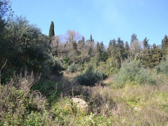 Land In Corfu, Greece