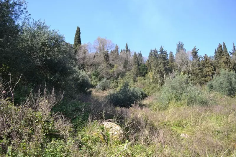 For Sale Land 8000 M² In Corfu