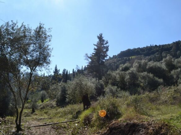 Land In Corfu, Greece