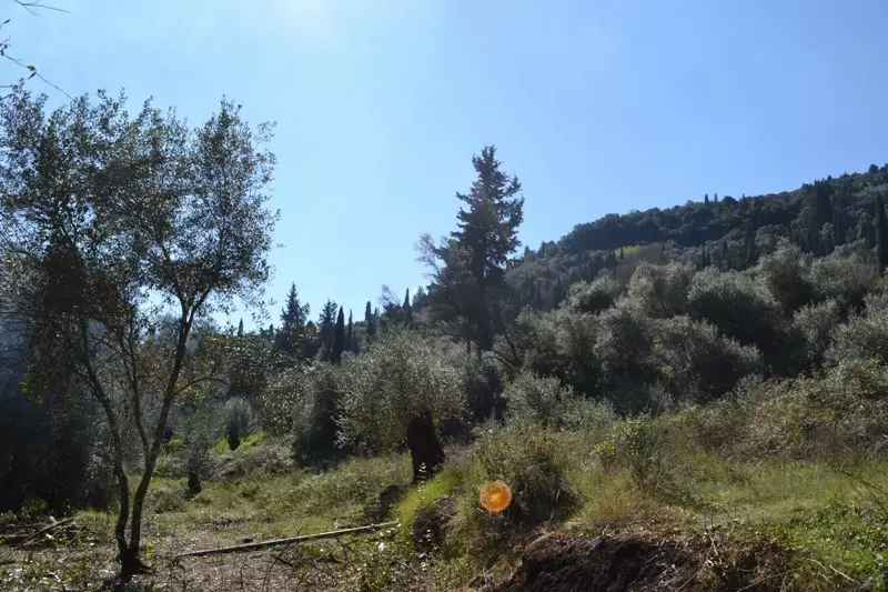 For Sale Land 8000 M² In Corfu