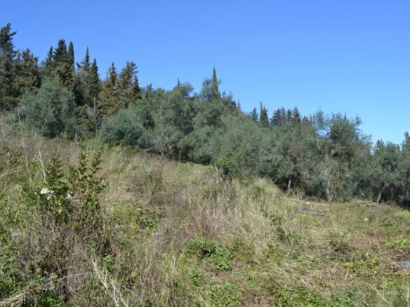 Land In Corfu, Greece