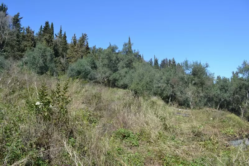 For Sale Land 8000 M² In Corfu