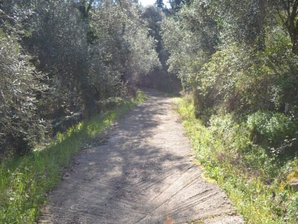 Land In Corfu, Greece