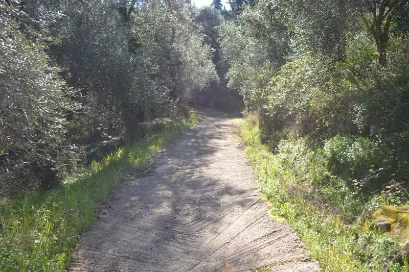 For Sale Land 8000 M² In Corfu