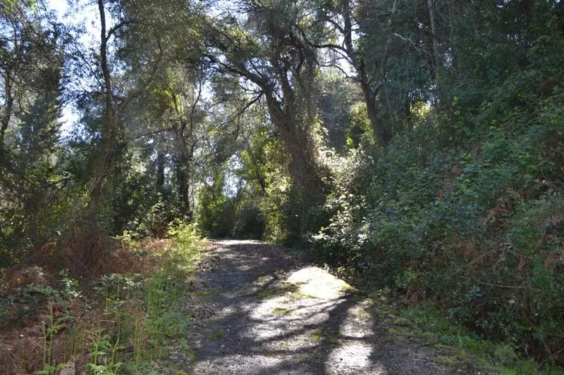 For Sale Land 8000 M² In Corfu