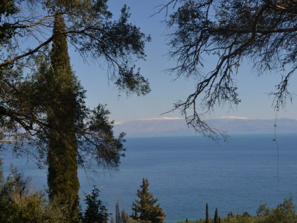 For Sale Land 8000 M² In Corfu