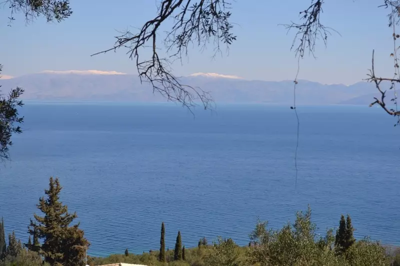 For Sale Land 8000 M² In Corfu