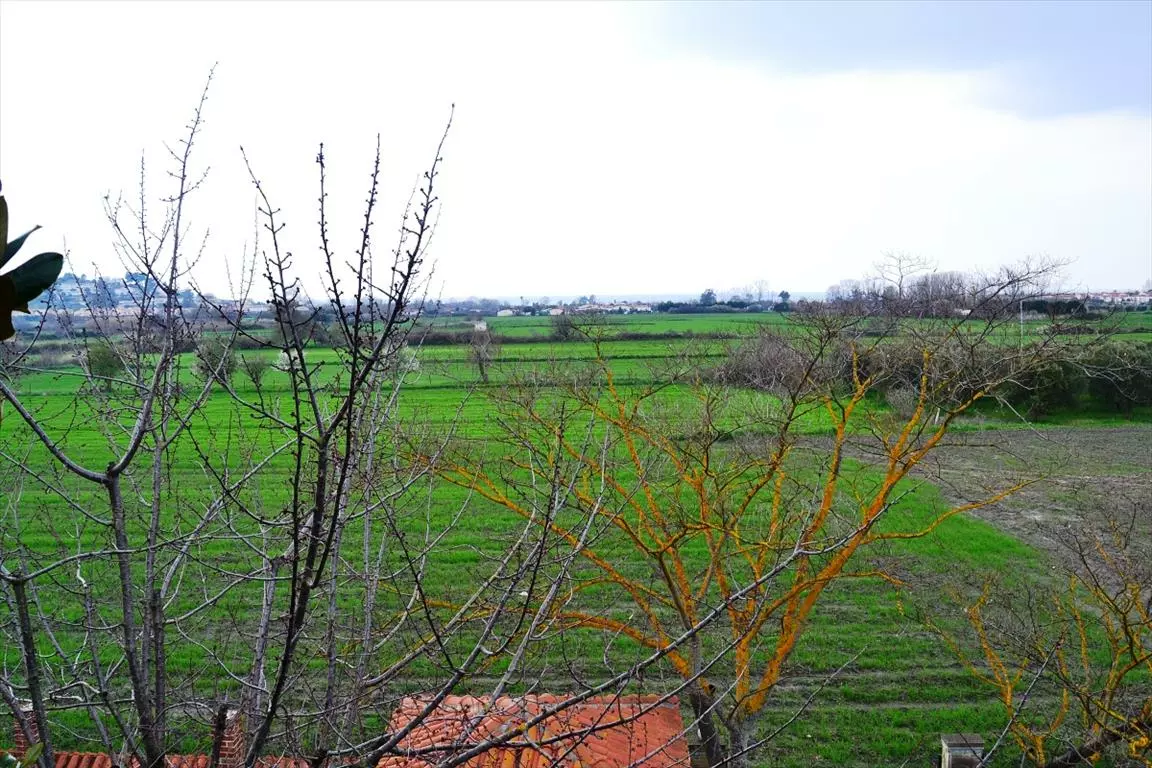 For Sale Hotel 230 M² In Kassandra, Chalkidiki