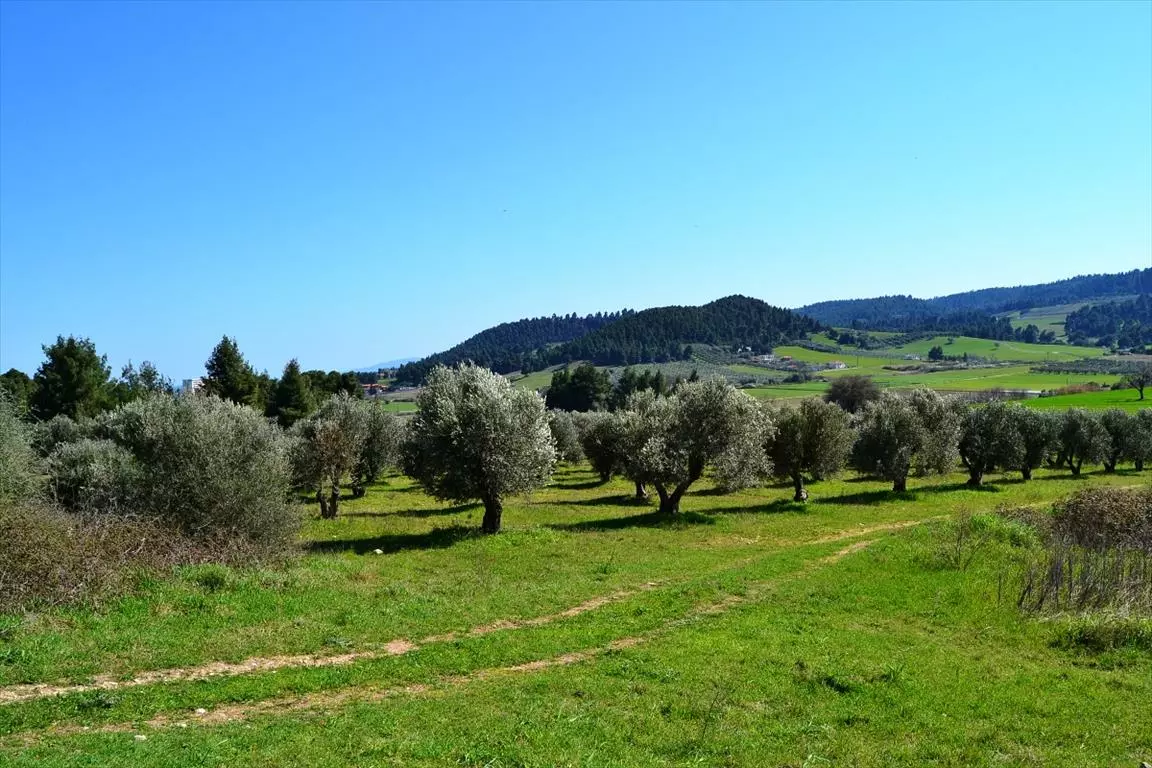 For Sale Land 10800 M² In Kassandra, Chalkidiki