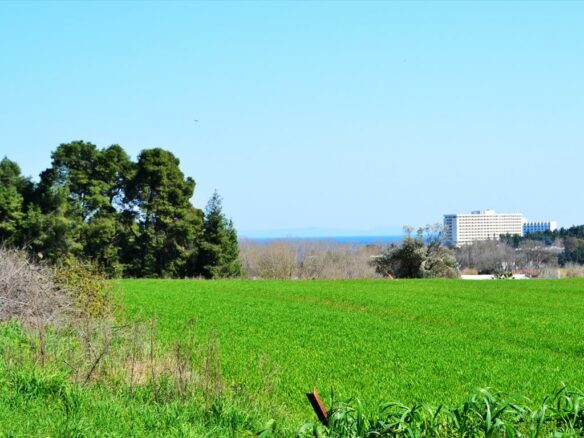 For Sale Land 10800 M² In Kassandra, Chalkidiki