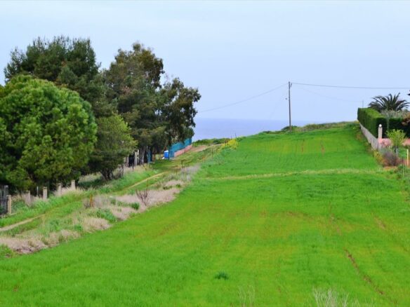 Land In Kassandra, Greece