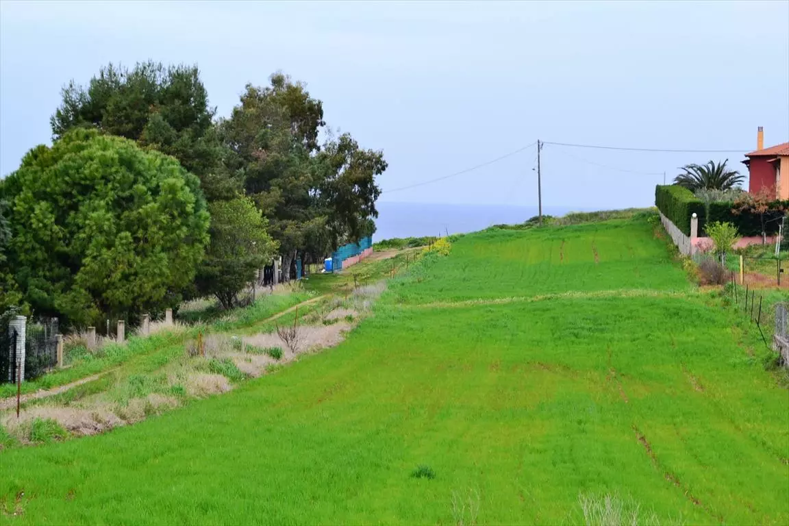 For Sale Land 3050 M² In Kassandra, Chalkidiki