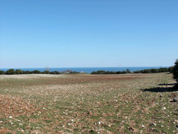 Land In Litochoro, Greece