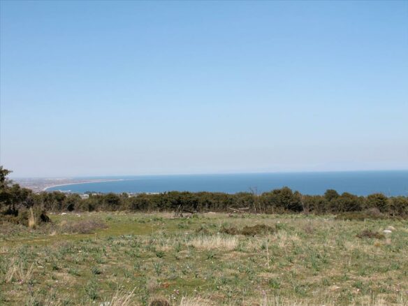 For Sale Land 21919 M² On The Olympic Coast