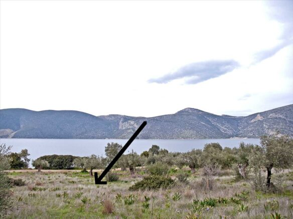 Land In Anthidonos, Greece