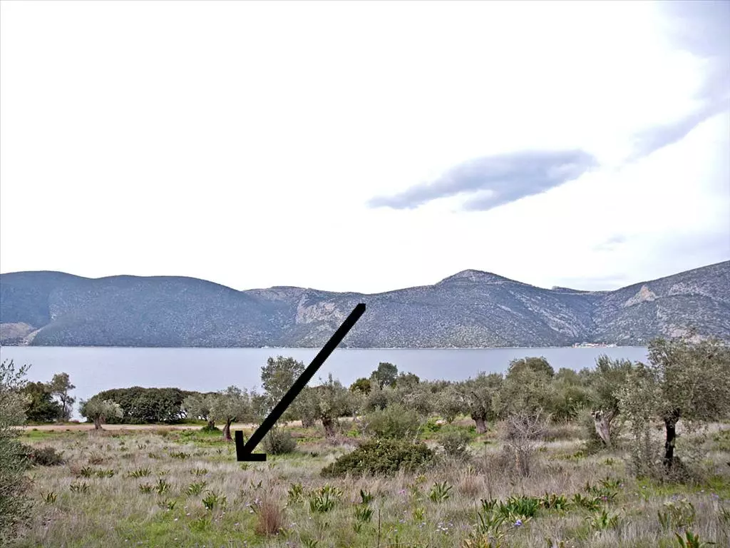 For Sale Land 1100 M² On The Euboea Island