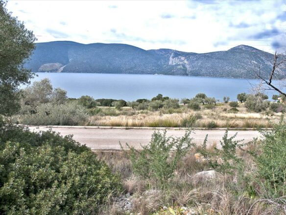 For Sale Land 1100 M² On The Euboea Island