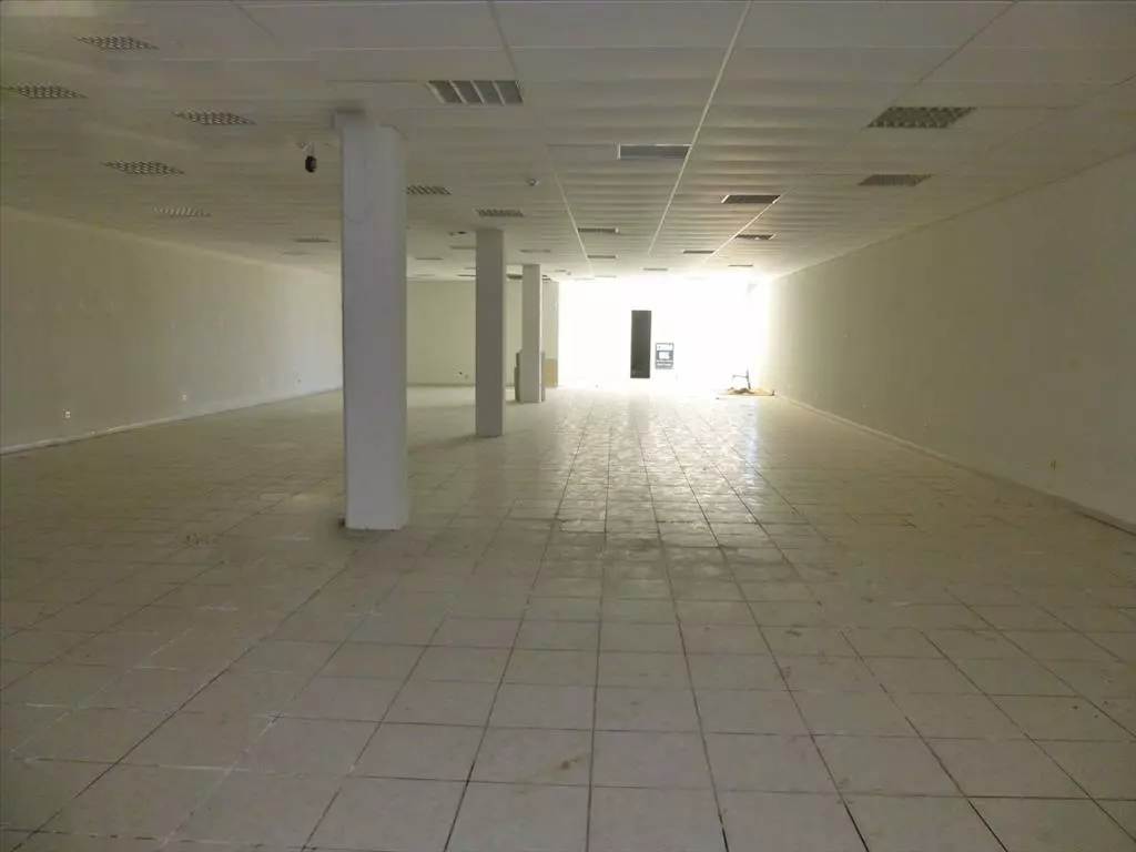 For Sale Business 1500 M² On The Olympic Coast