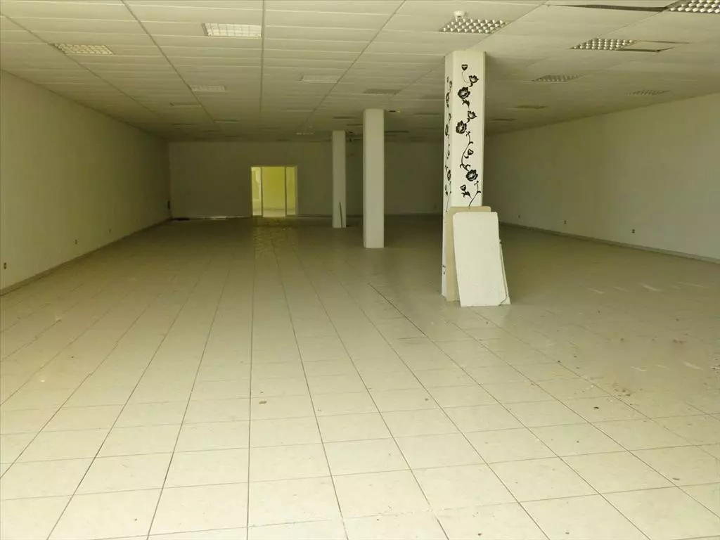 For Sale Business 1500 M² On The Olympic Coast