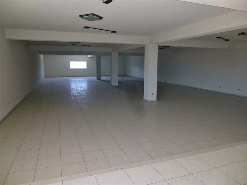 For Sale Business 1500 M² On The Olympic Coast