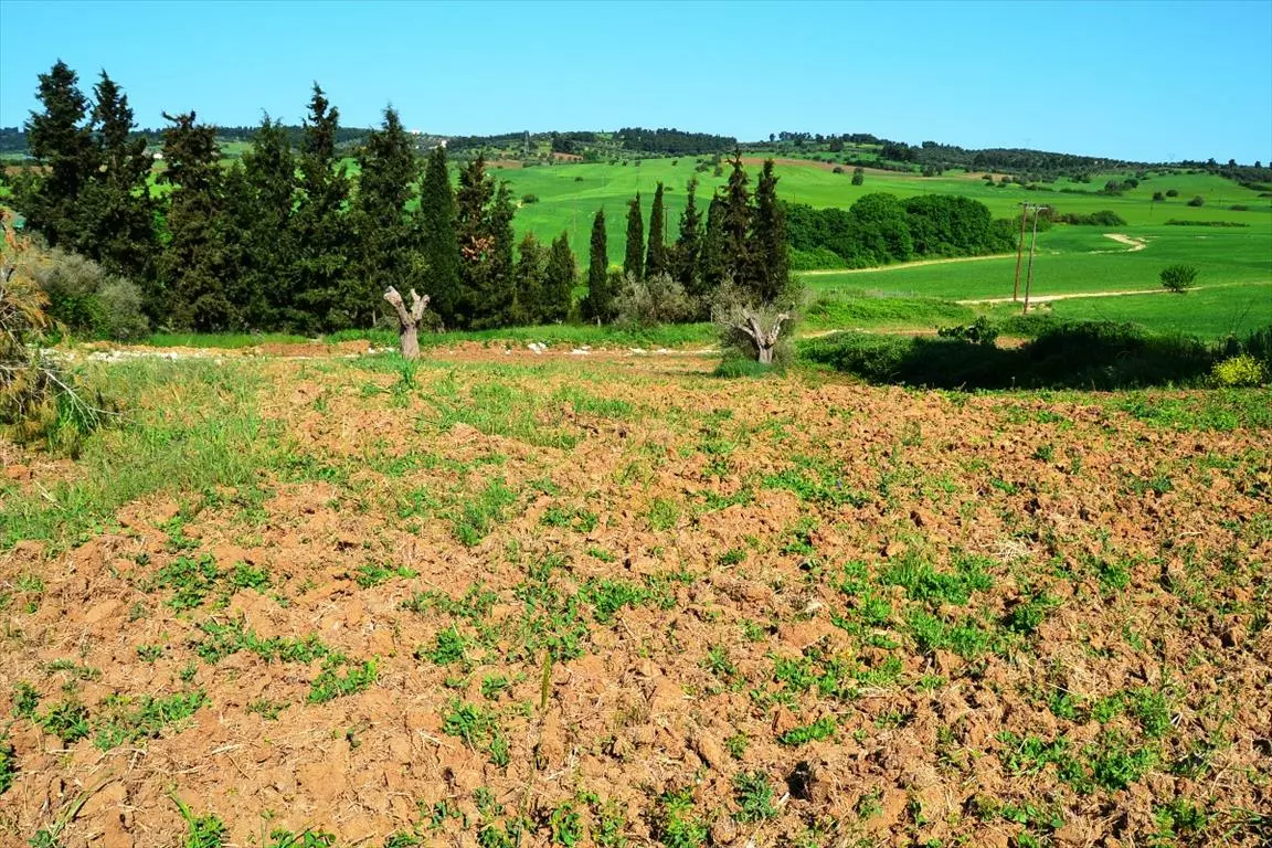 For Sale Land 4000 M² In Kassandra, Chalkidiki