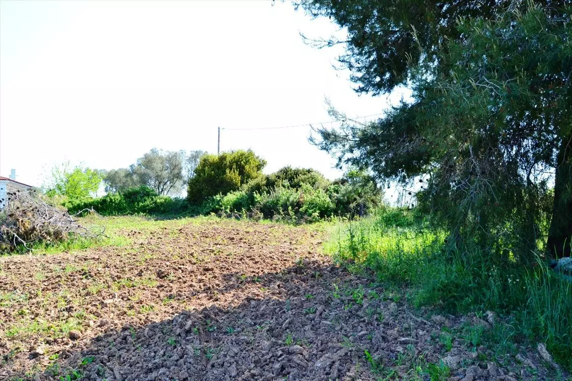For Sale Land 4000 M² In Kassandra, Chalkidiki