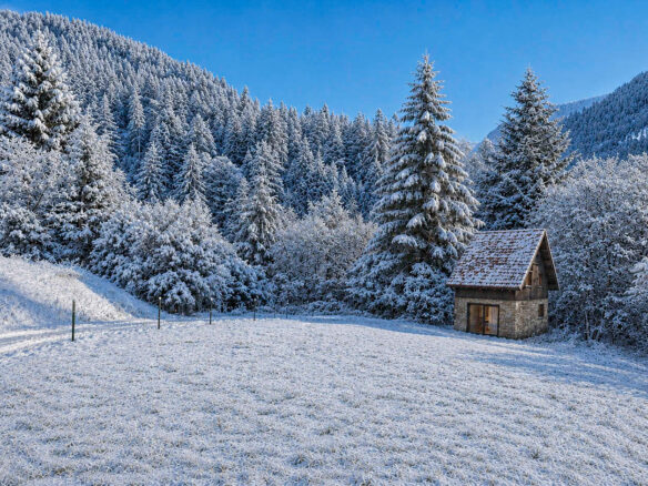 Chalet Of 200 M² With Ski Access In Paularo