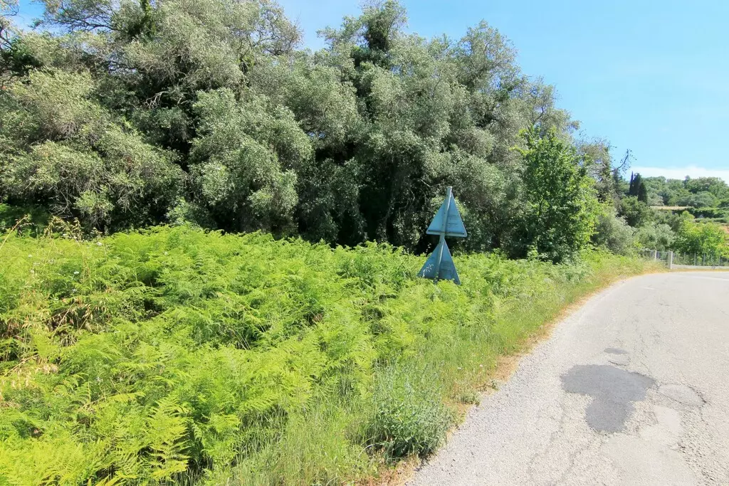 For Sale Land 2000 M² In Corfu