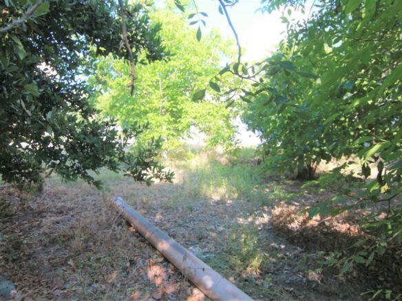 Land In Corfu, Greece