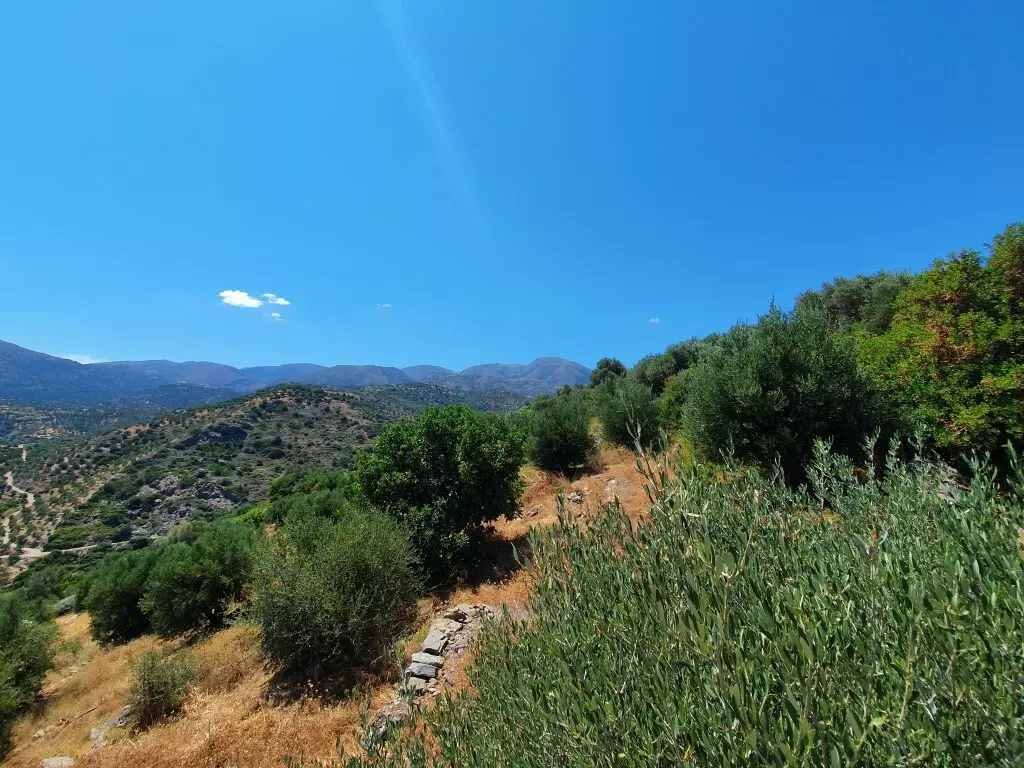 For Sale Land 21000 M² In Crete