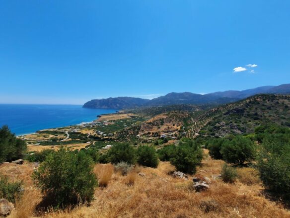 For Sale Land 21000 M² In Crete