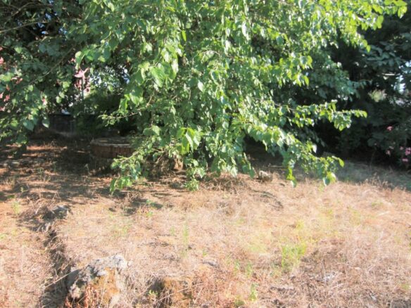 Land In Corfu, Greece