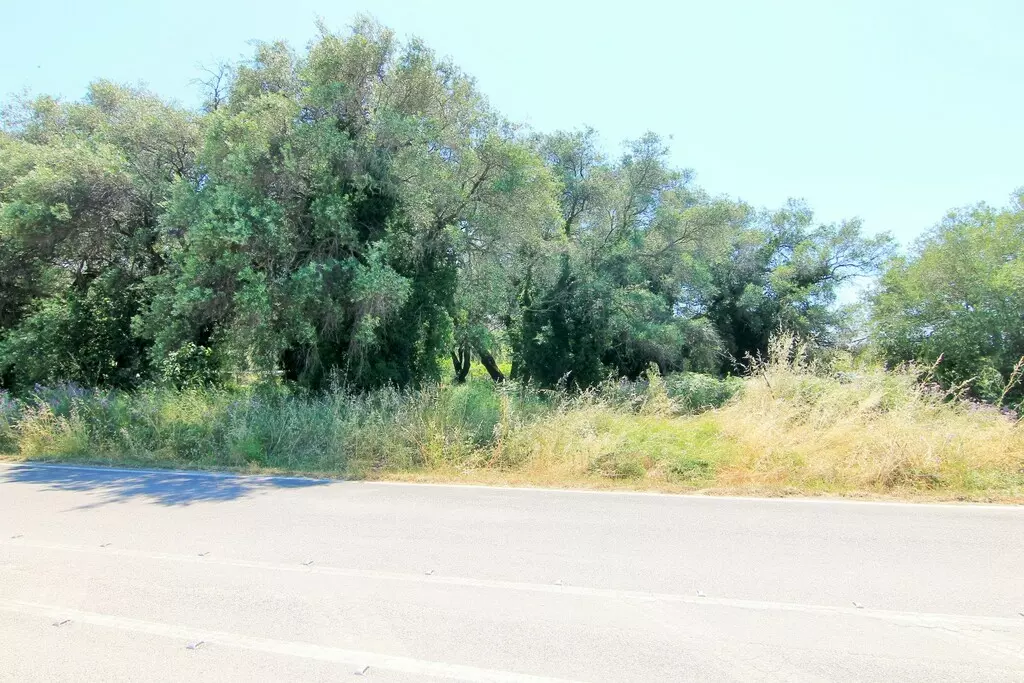 For Sale Land 2000 M² In Corfu