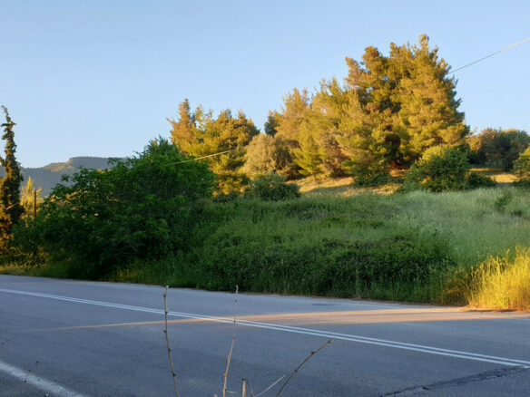 Land In Limni, Greece