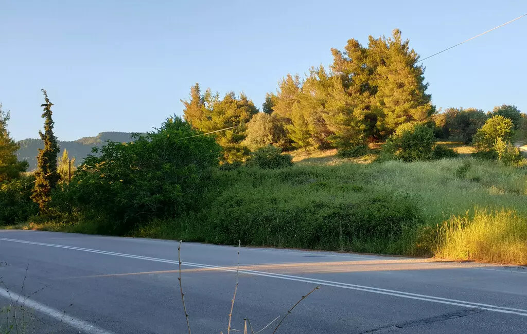 For Sale Land 29486 M² On The Euboea Island