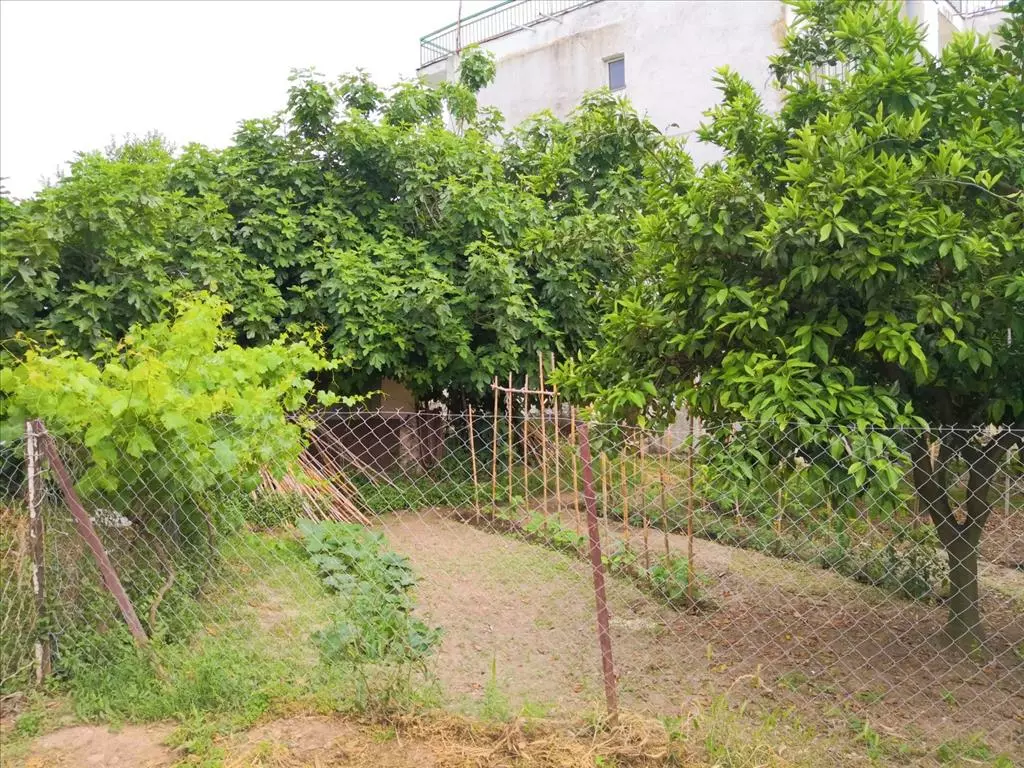 For Sale Detached House 400 M² In Sithonia, Chalkidiki