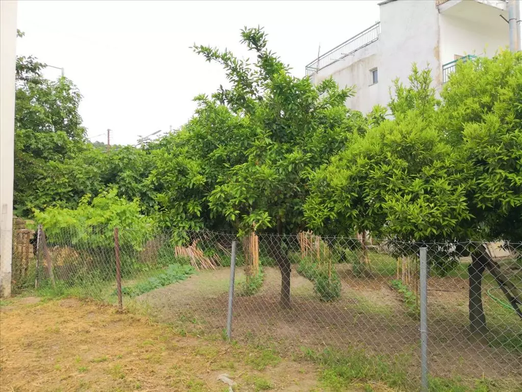 For Sale Detached House 400 M² In Sithonia, Chalkidiki