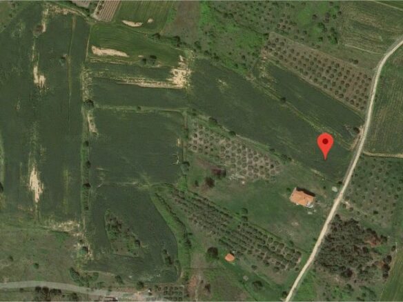 For Sale Land 9800 M² In Athos, Chalkidiki