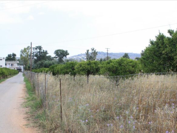For Sale Land 6086 M² In Crete