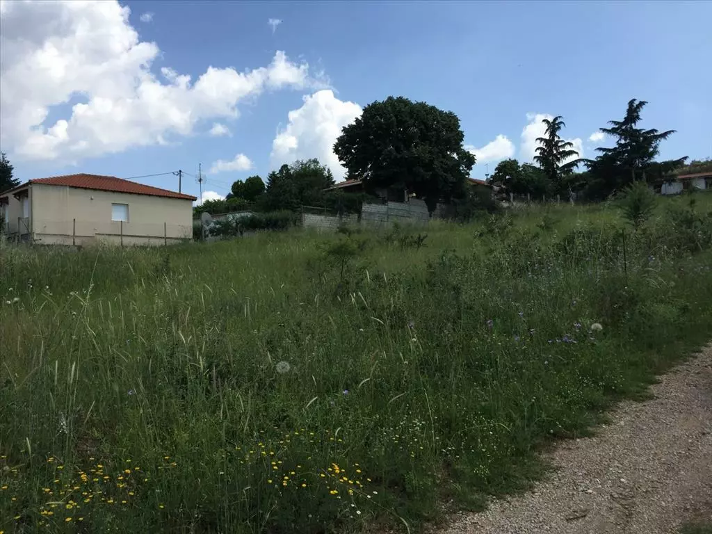 Land In Chortiatis, Greece