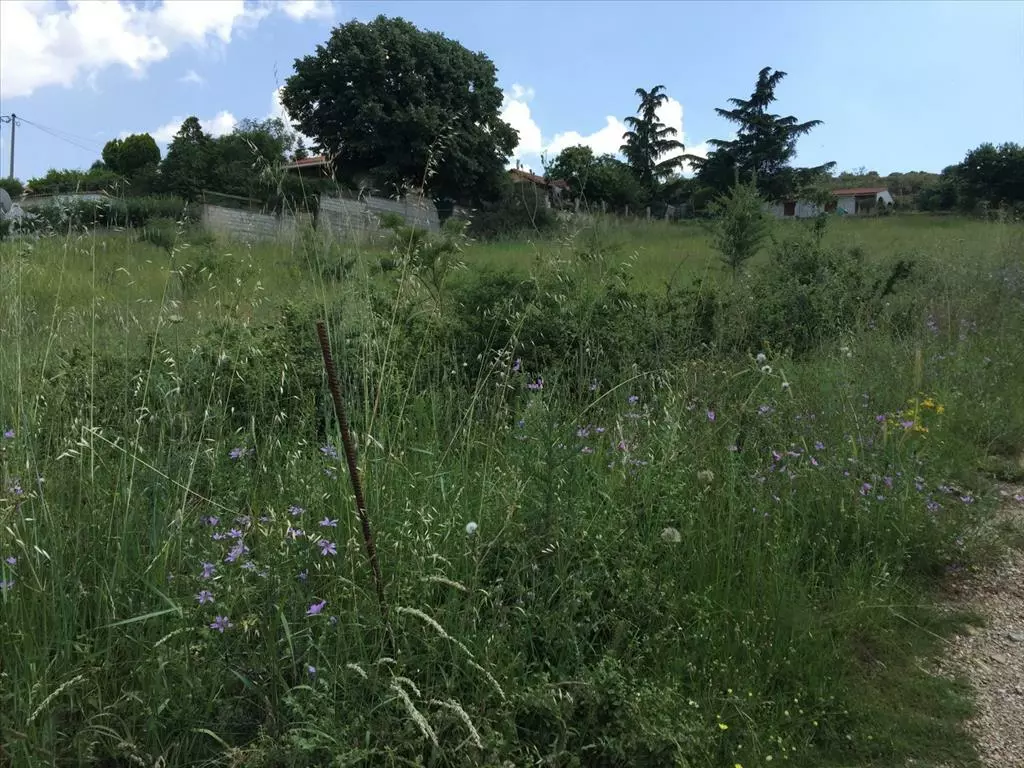 Land In Chortiatis, Greece