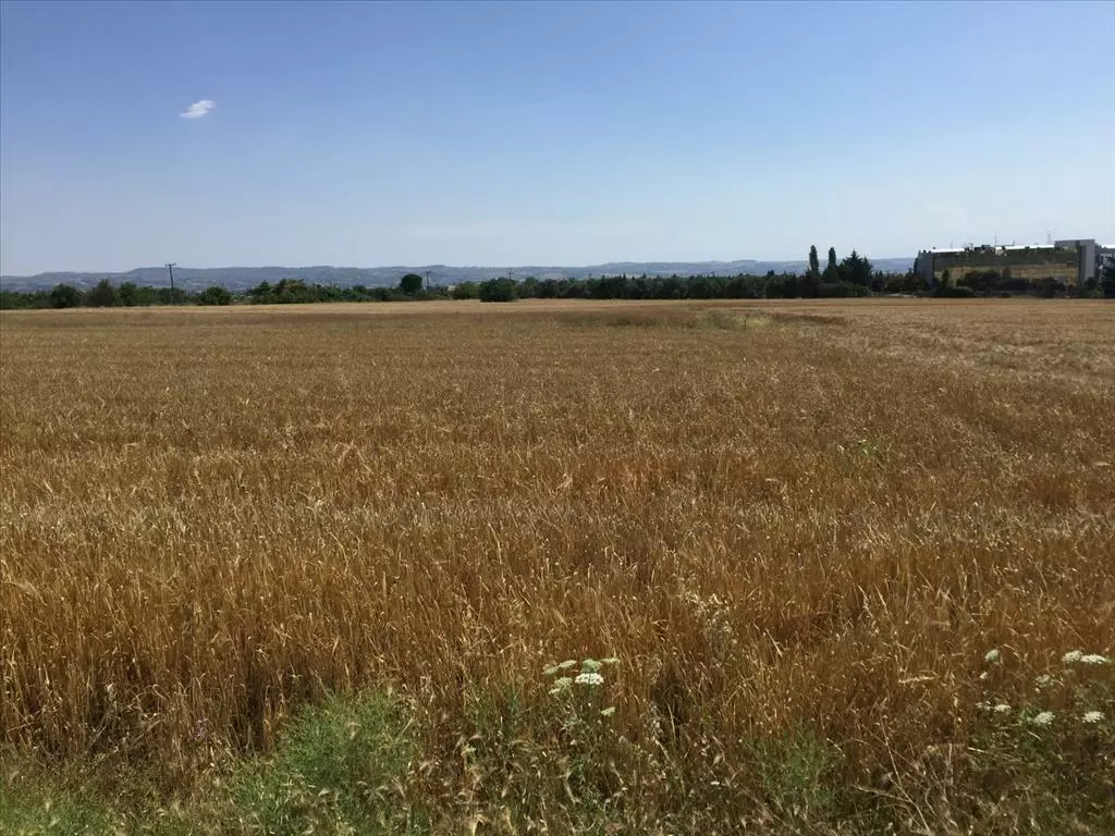 For Sale Land 16000 M² In The Suburbs Of Thessaloniki