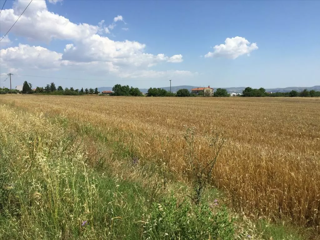 For Sale Land 16000 M² In The Suburbs Of Thessaloniki